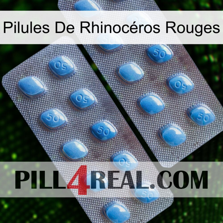 Pilules De Rhinocéros Rouges viagra4